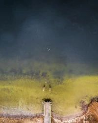 Reelsy, tiktok, Instagram, FB, Social Media, Shorts